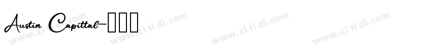 Austin Capittal字体转换